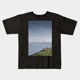 Sheep and Skelligs Kids T-Shirt